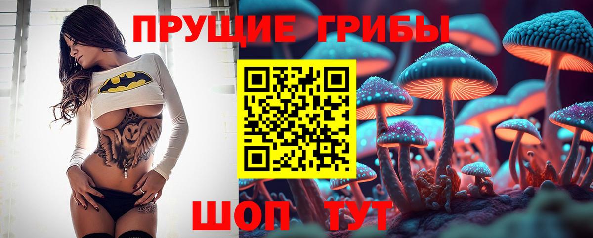 Буйнакск  закладка  Вход с VPN  Галлюциногенные грибы Psilocybine cubensis  Псилоцибиновые грибы мицелий 