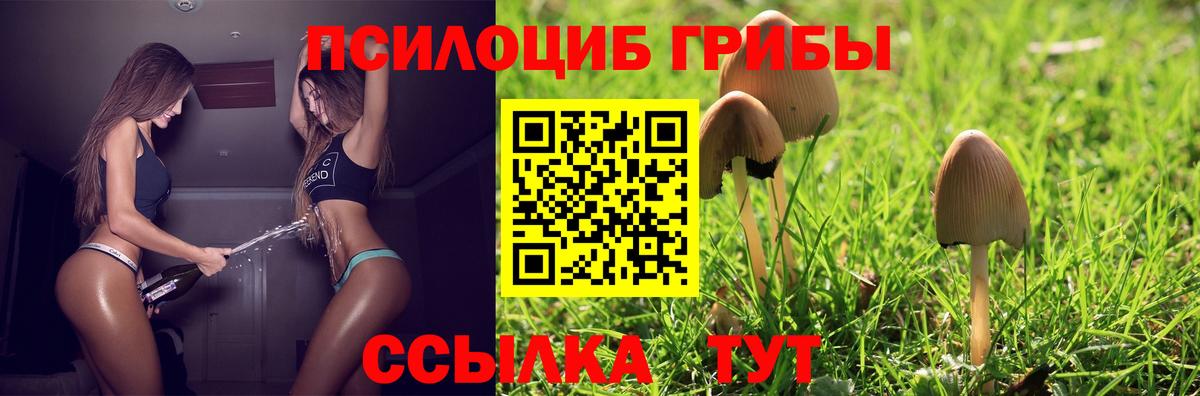 Псилоцибиновые грибы GOLDEN TEACHER Буйнакск